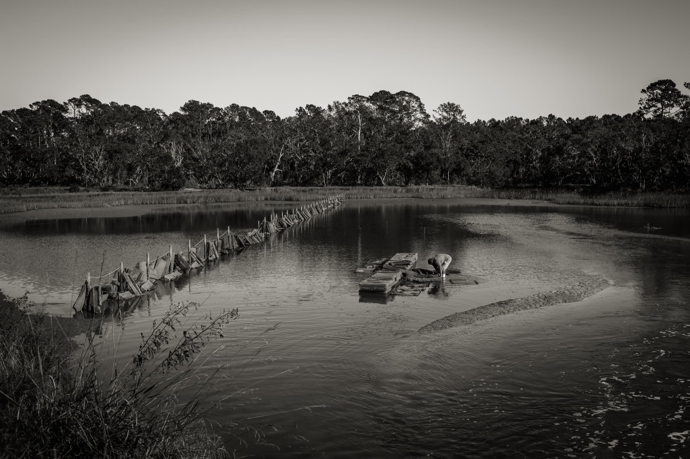 Working South — black and white photograph 1 by Andrew Branning